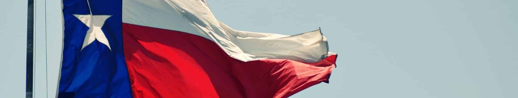 texas flag in the wind
